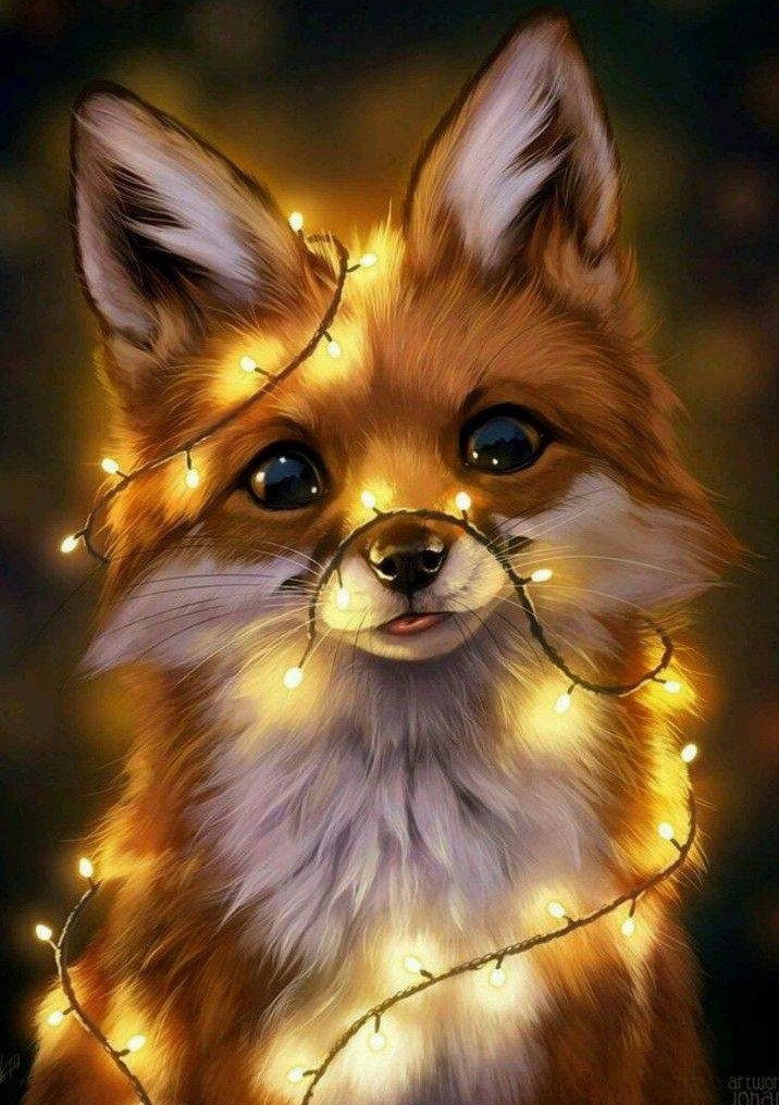 Cute Fox