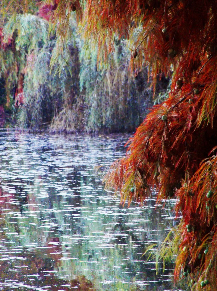 lake autumn