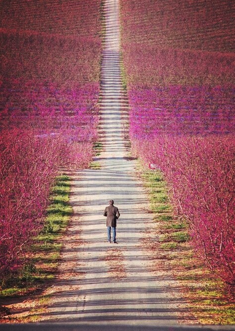 Awesome Nature