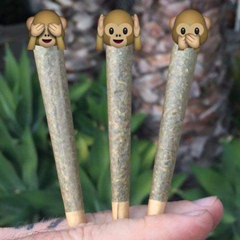 weed