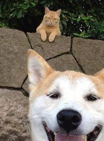 ♥