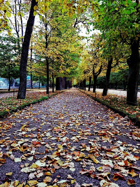 Autumn