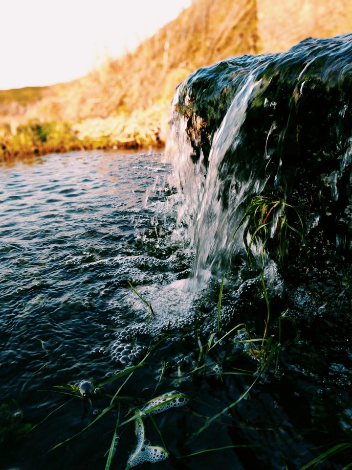 Water