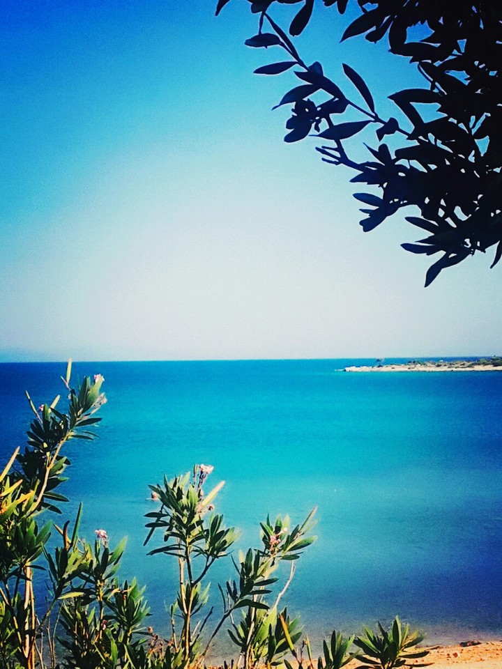 Deniz