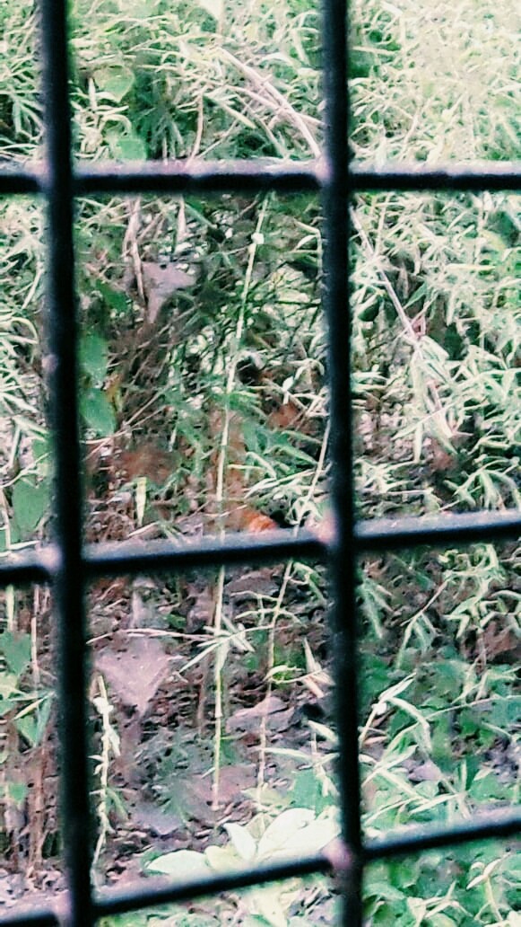 can u see something hidden ?