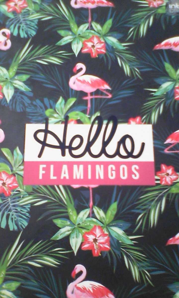 flamingi
