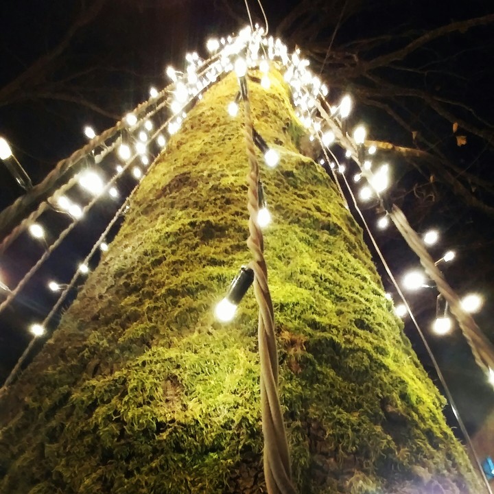 Lights