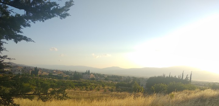 nature