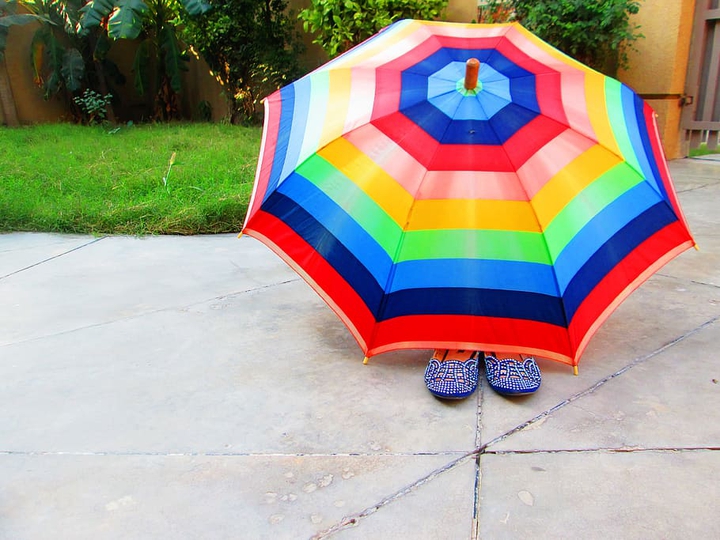 umbrella