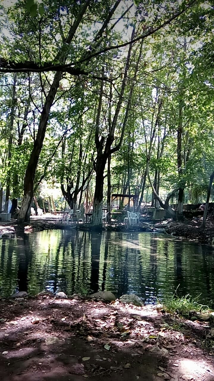 mersin/Turkey