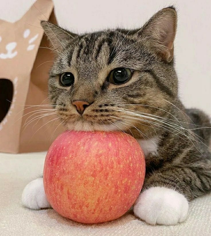⚘️