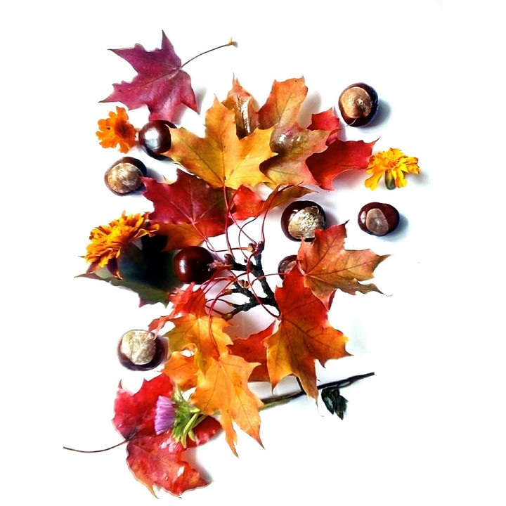 autumn