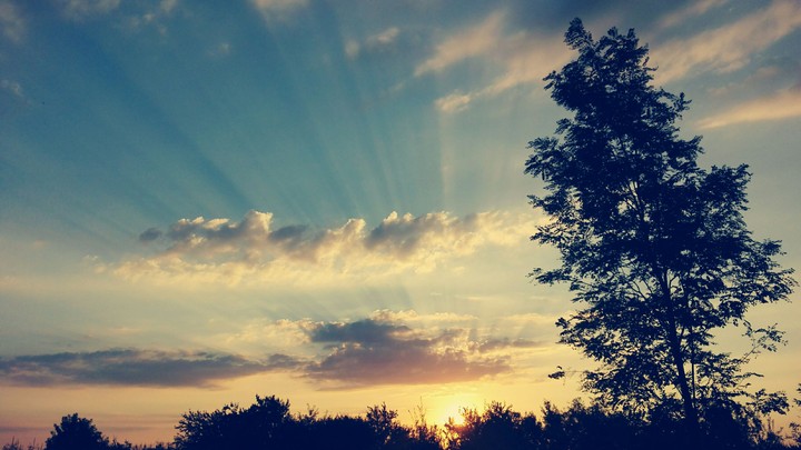 Sunlight