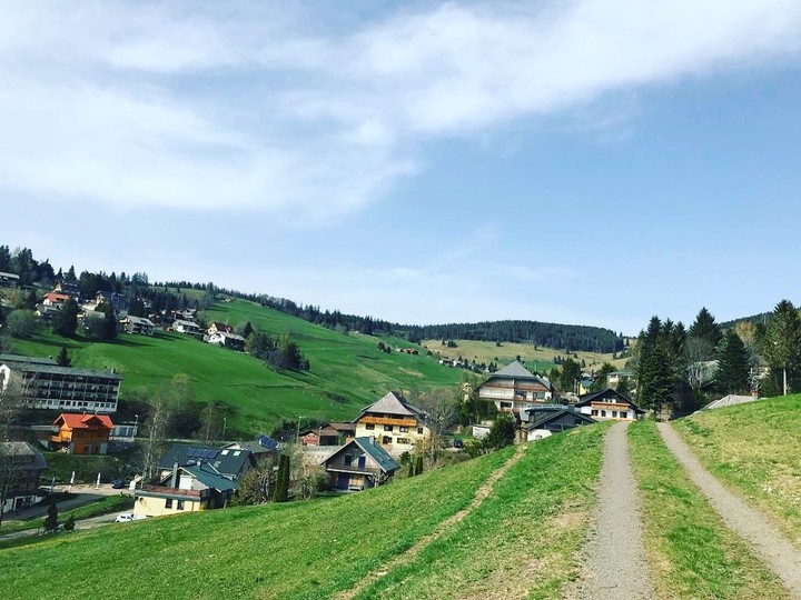 Todtnauberg Wanderweg