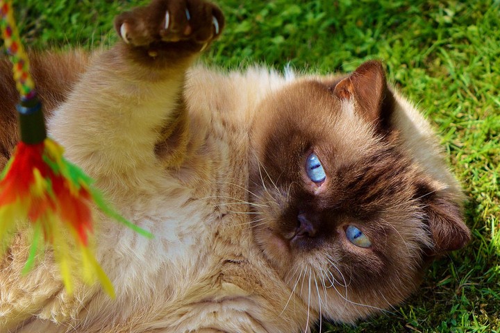 those blue eyes are special....