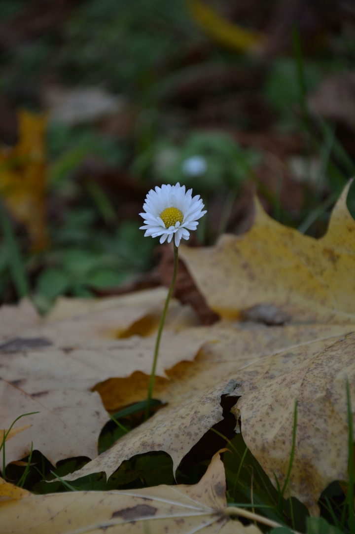 nature