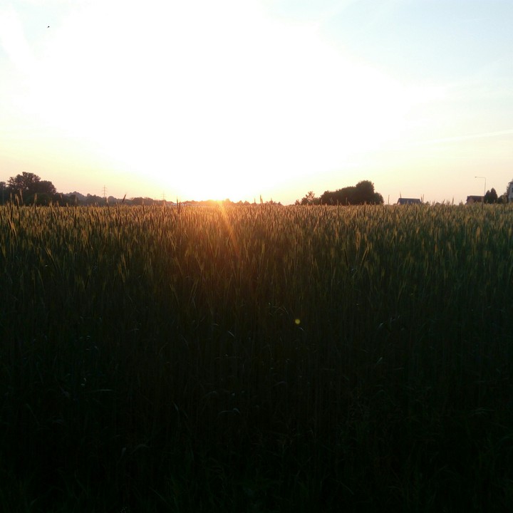 beautiful