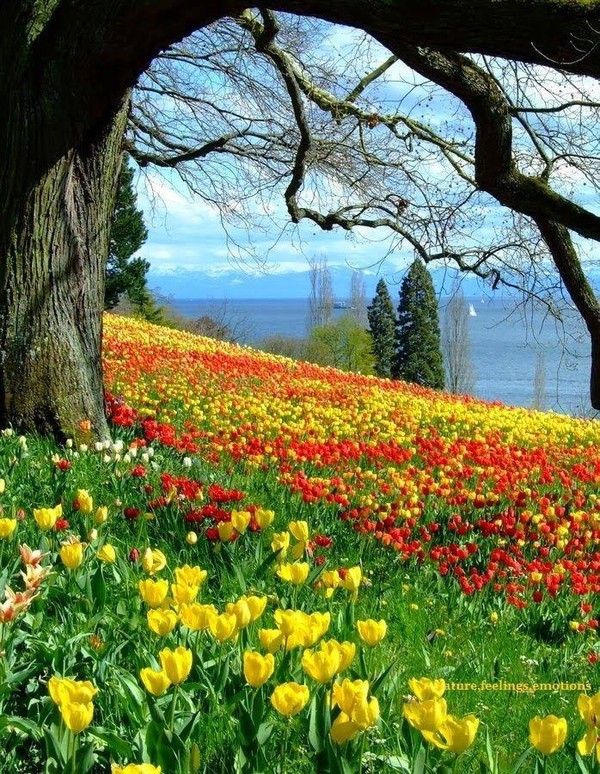 printemps