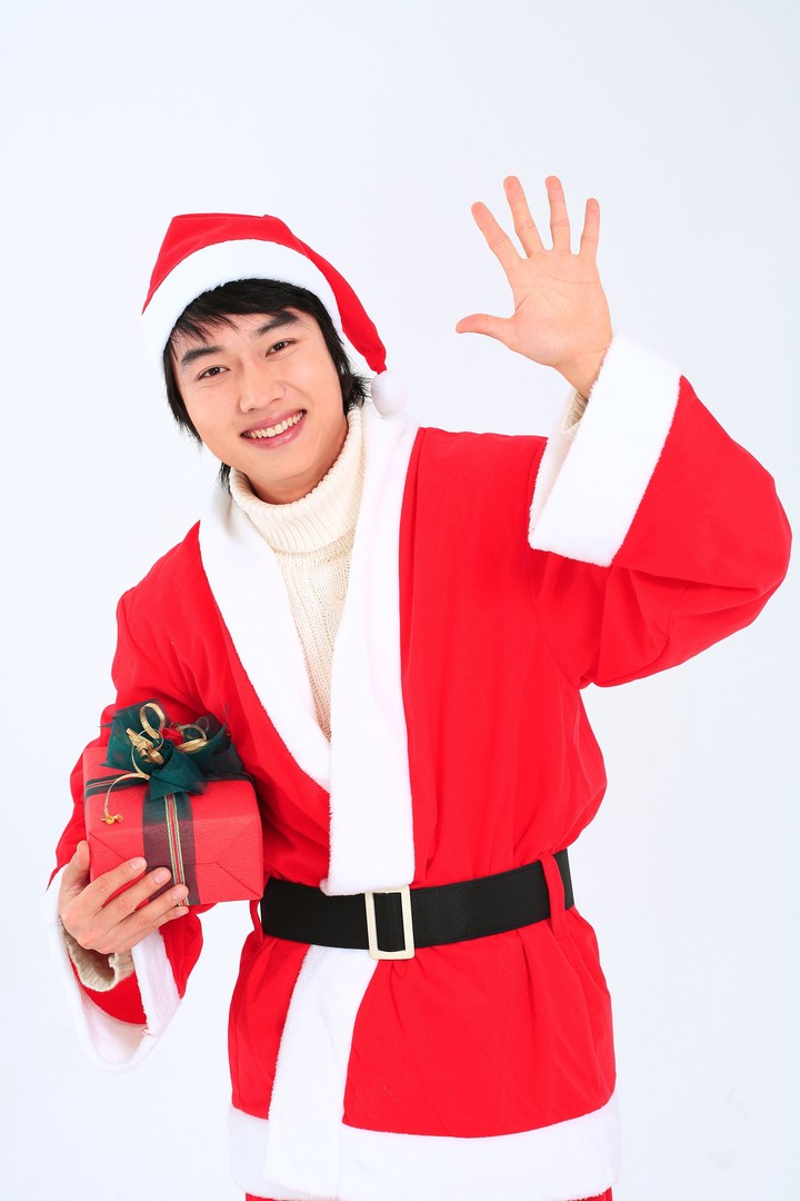 Christmas Costume