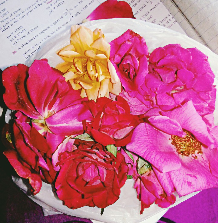 roses are doses of happiness, peace and beauty..