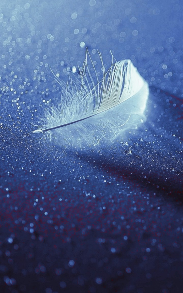 feather