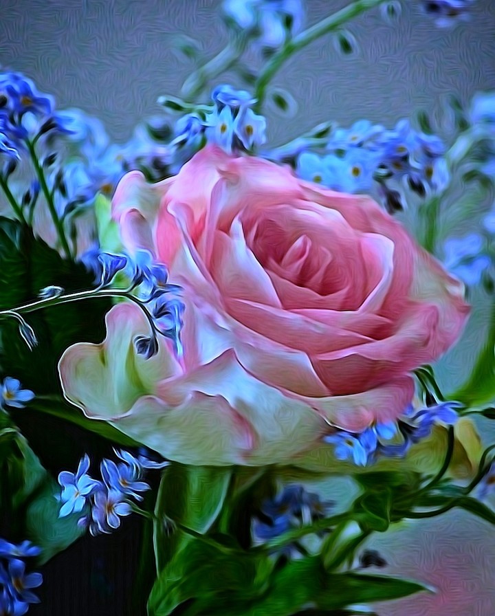 Rose