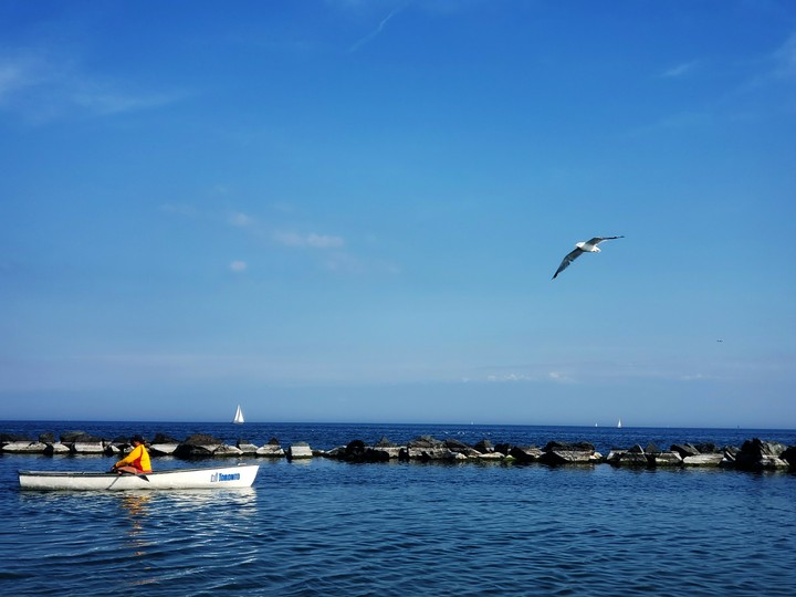 Toronto Island