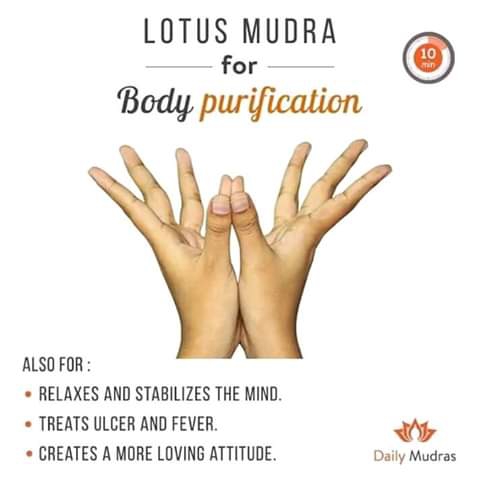 lotus mudra
