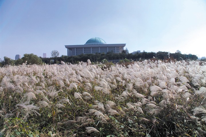 서울여행
