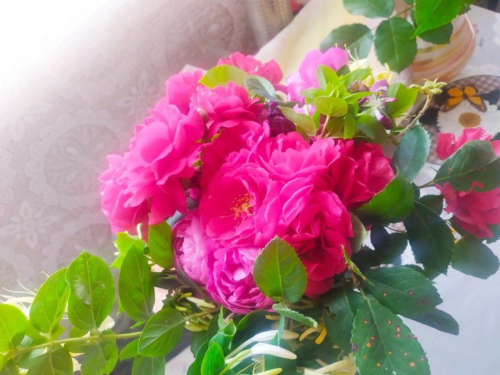 Roses