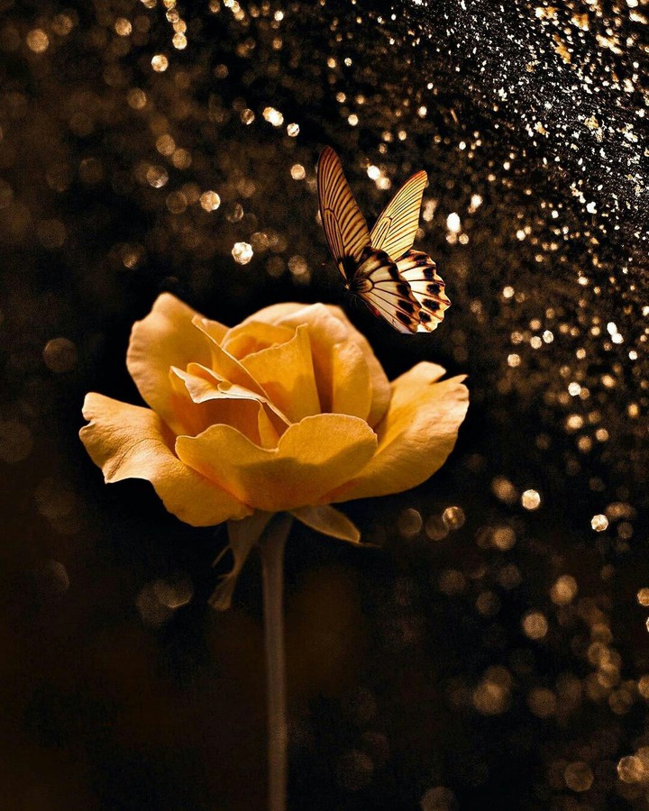 #Beautiful Artwork