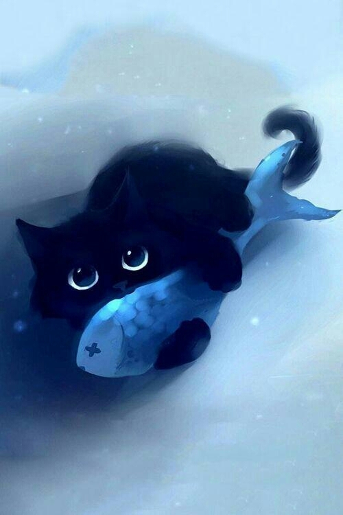cat and fish