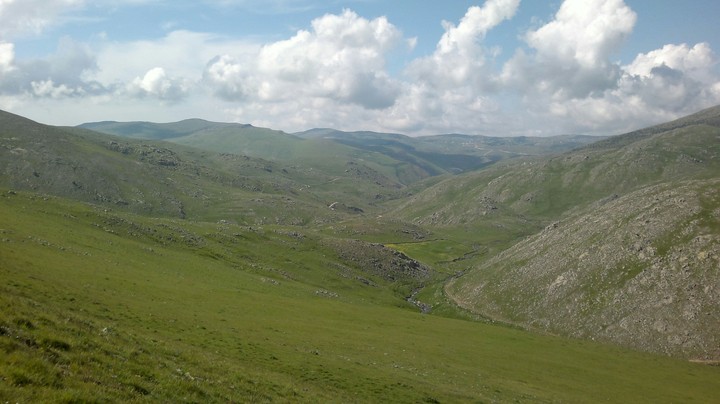 nature
