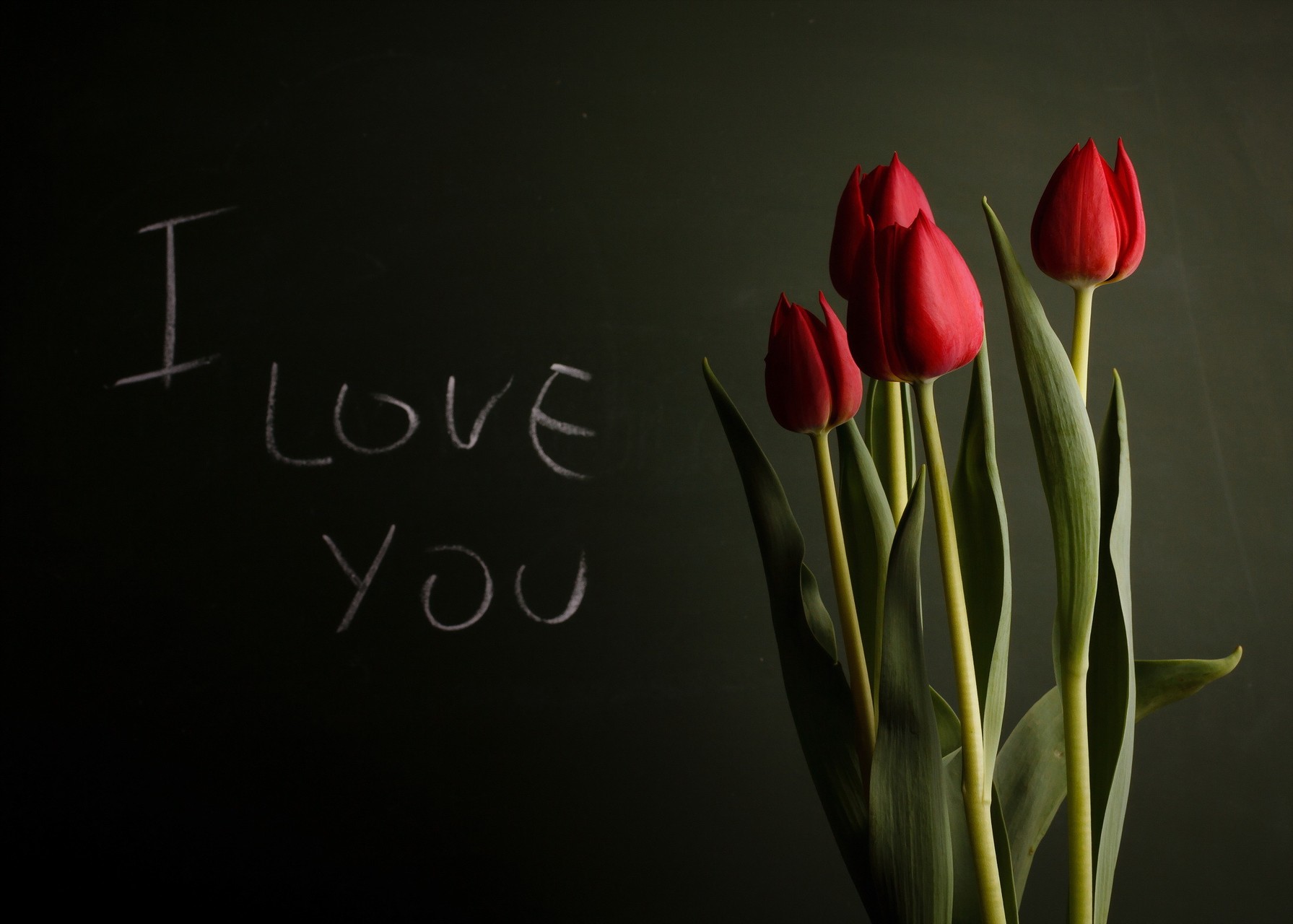 sfondi flower, floristry