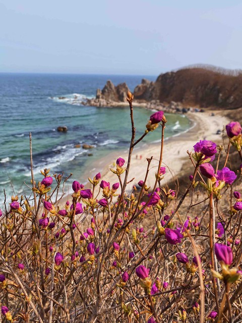 Spring
