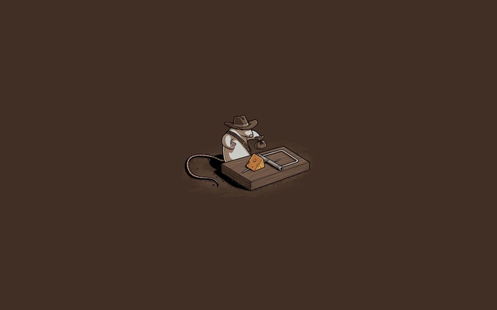 Minimalist Thief