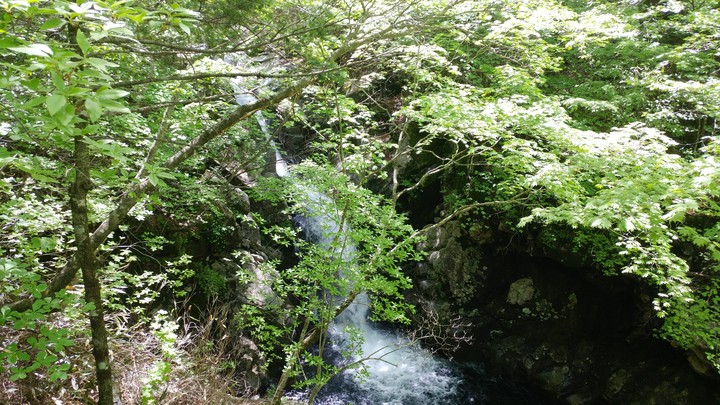 korean mountain