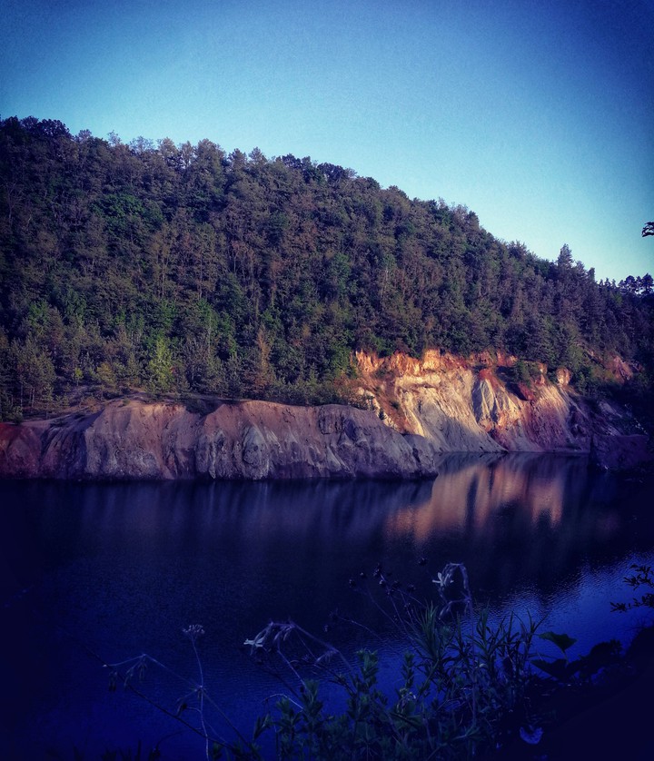lake, firforest