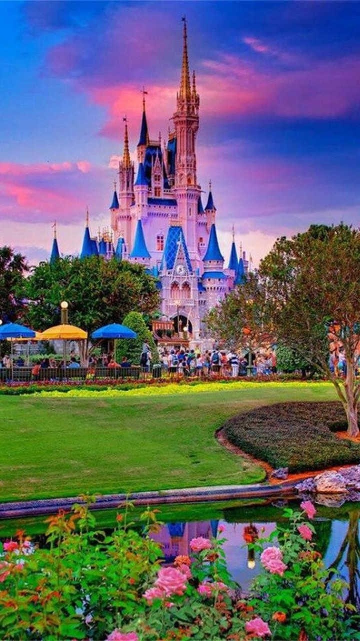 Disney Land❤