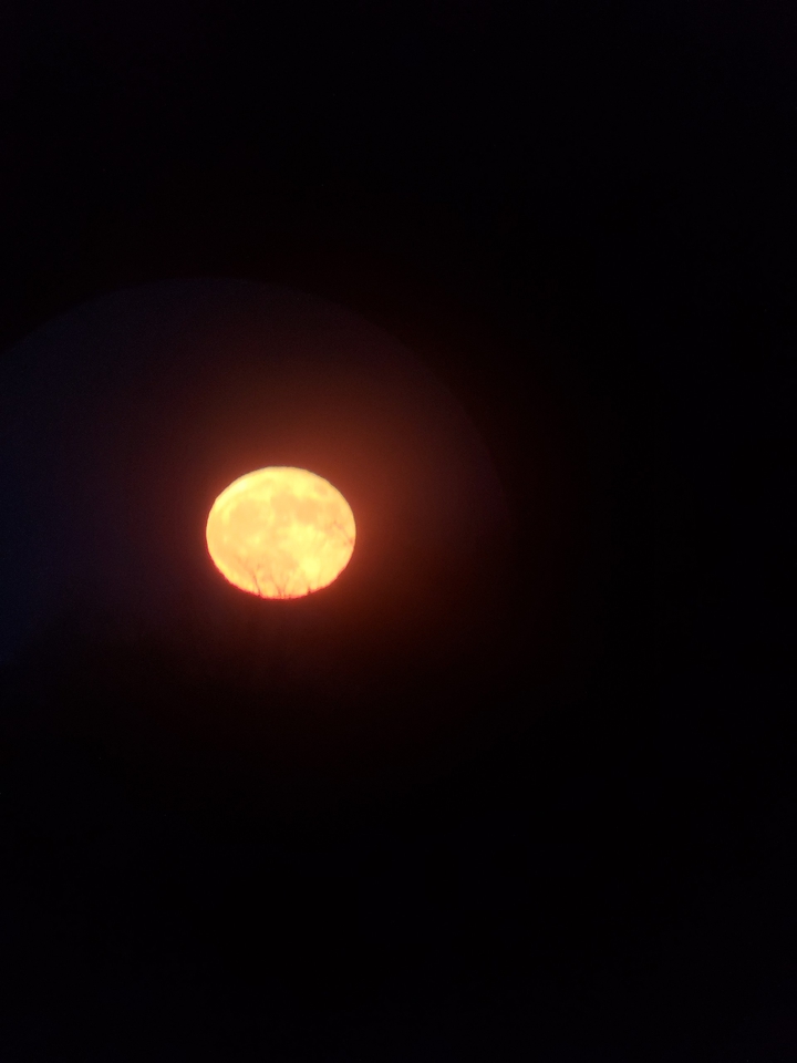 moon light in ky