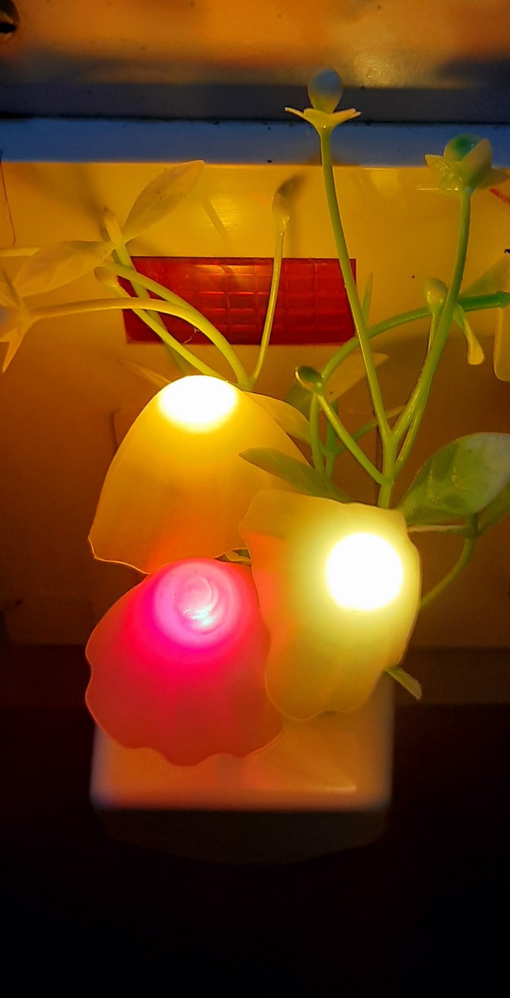 colorful lights