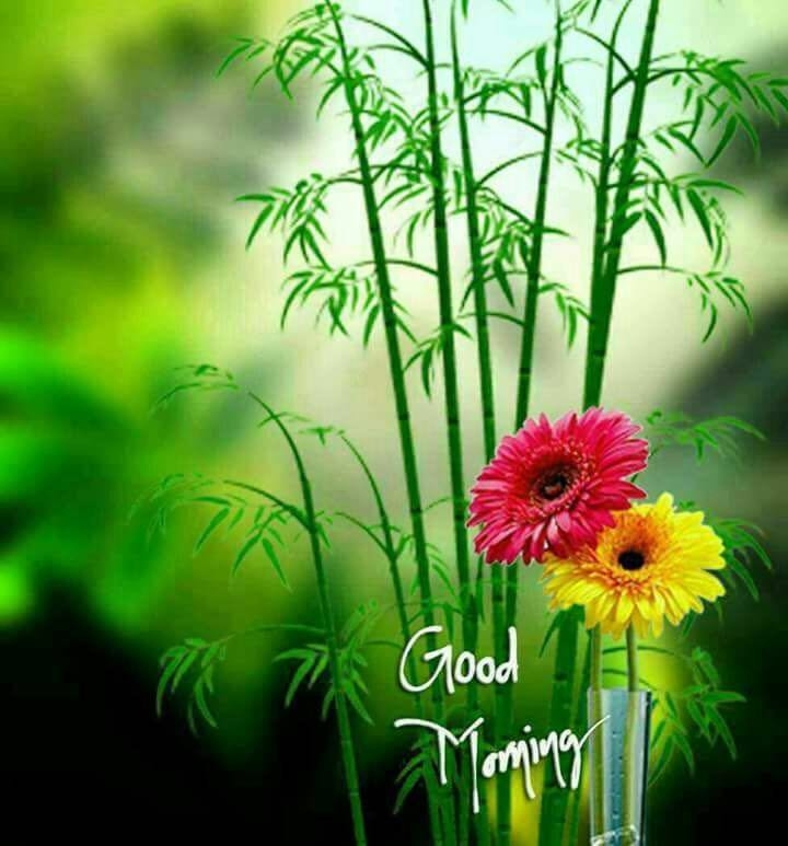 good morning