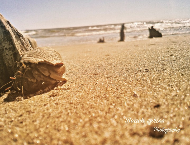 sea