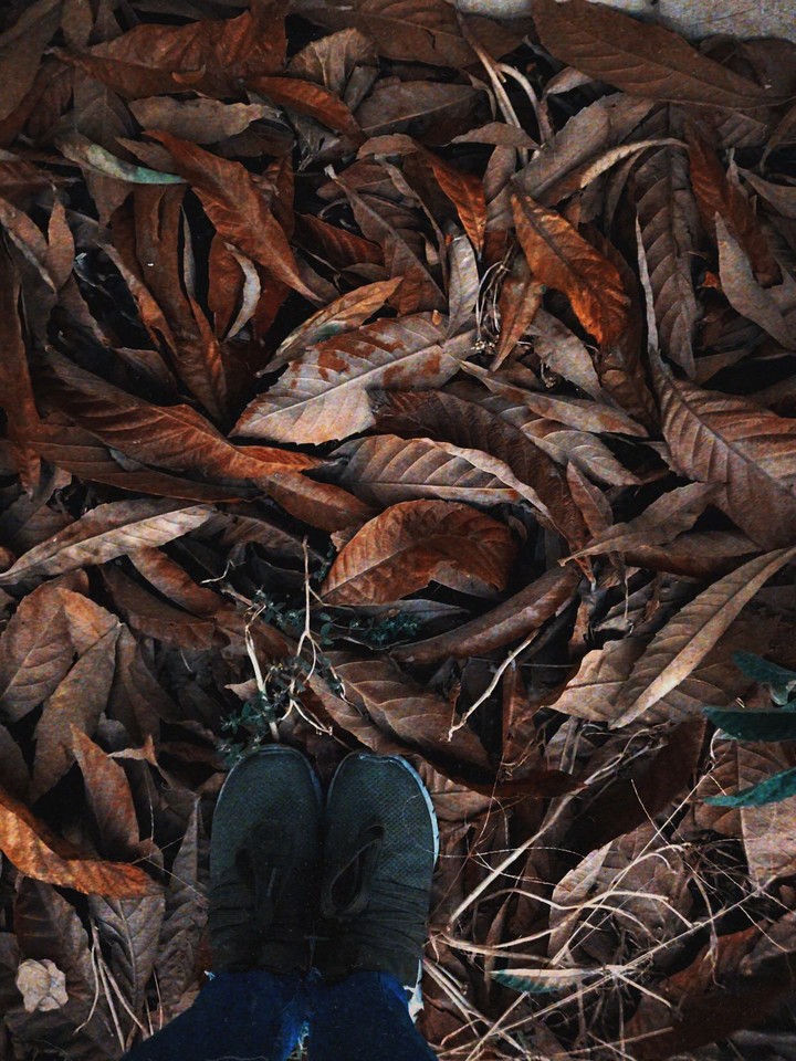 november