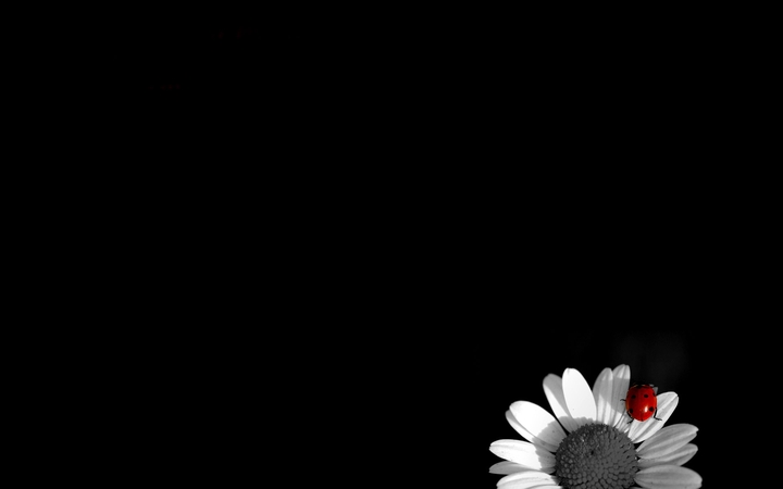 dark