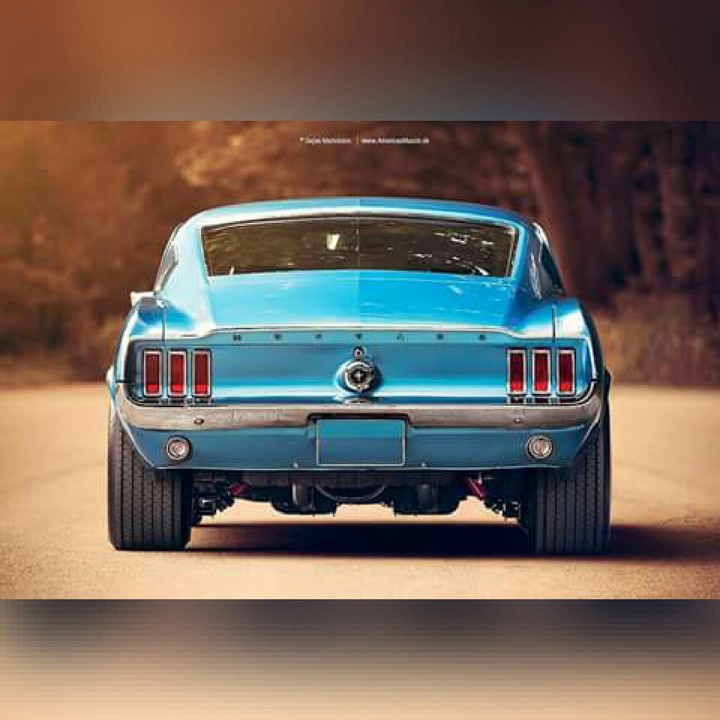Mustang