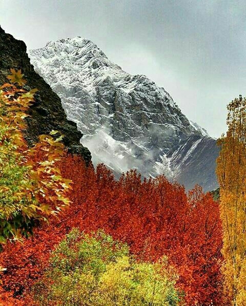 iran