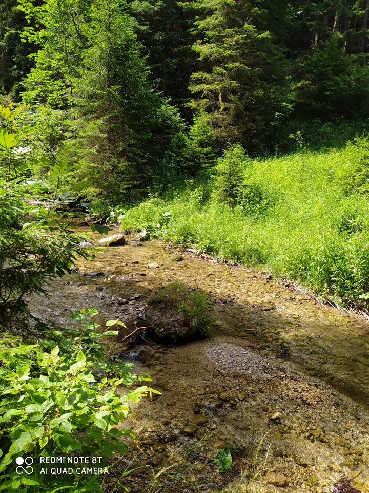 what a peaceful place