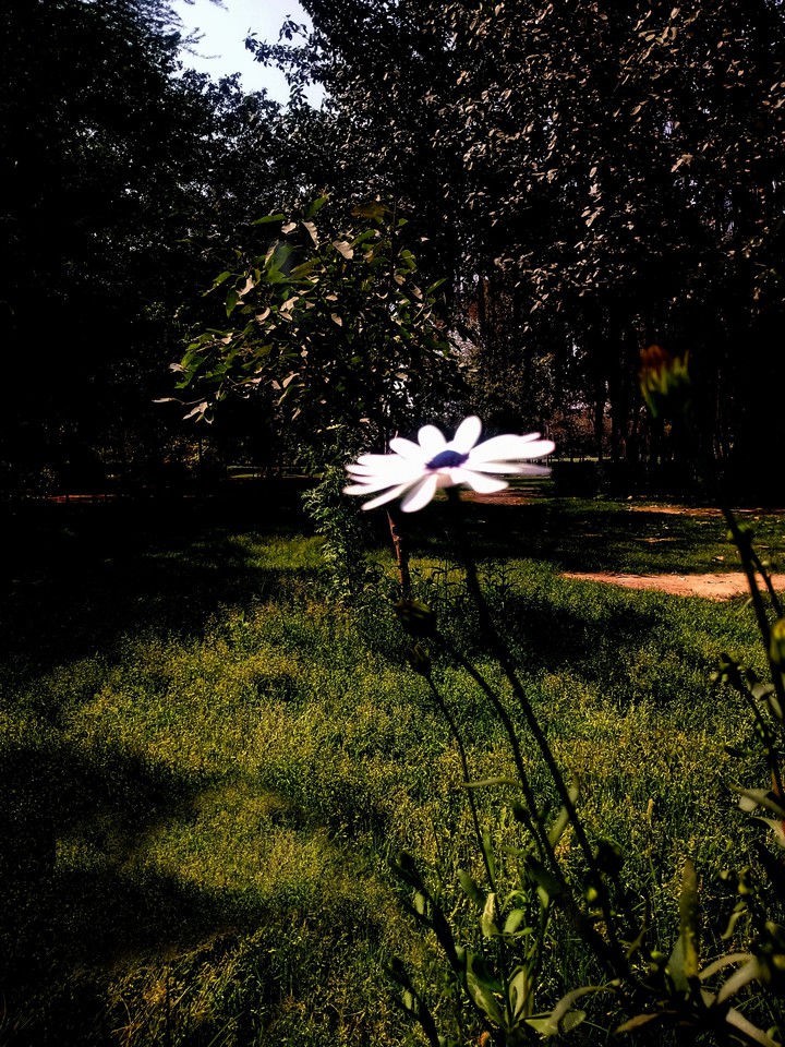 calmness of white