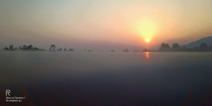 GAJENDRA SINGHAM